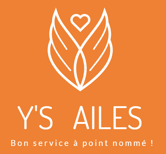 Y's ailes　～Bon service à point nommé!～